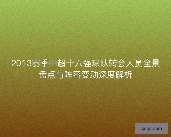 2013赛季中超十六强球队转会人员全景盘点与阵容变动深度解析