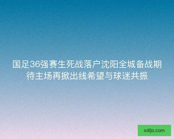 国足36强赛生死战落户沈阳全城备战期待主场再掀出线希望与球迷共振