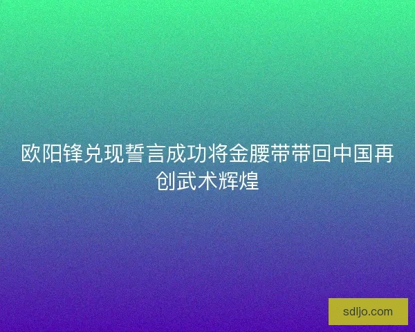 欧阳锋兑现誓言成功将金腰带带回中国再创武术辉煌